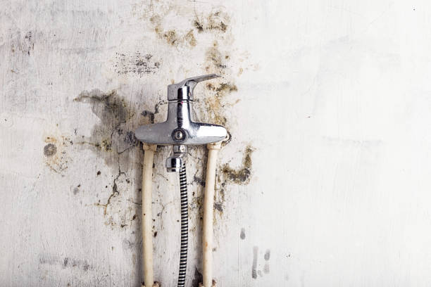 Best Water Damage Restoration  in Glenmoor, OH